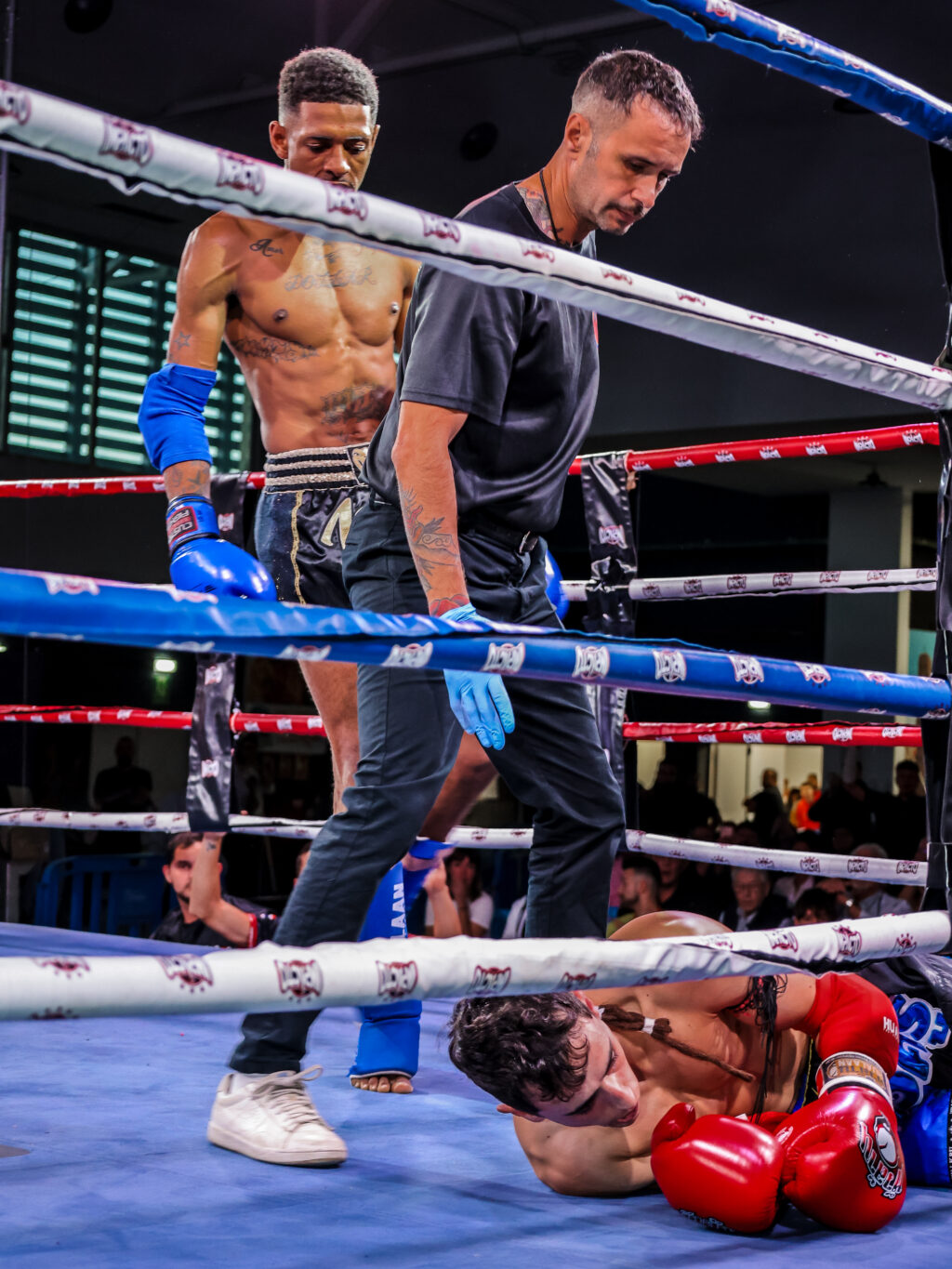 La imagen tiene un atributo ALT vacío; su nombre de archivo es 84_691da40376ba8-1024x1365.jpg